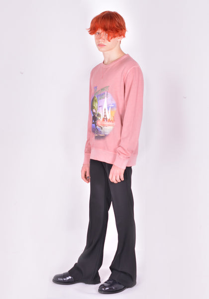 EGONLAB. THE BRUSSELS SPROUT'S ATTACK SWEATSHIRT OLD PINK FW21| DOSHABURI